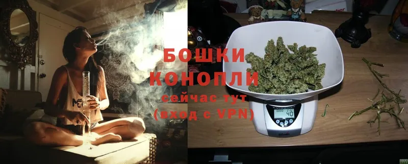 Бошки Шишки Ganja  купить наркотики сайты  Кашира 